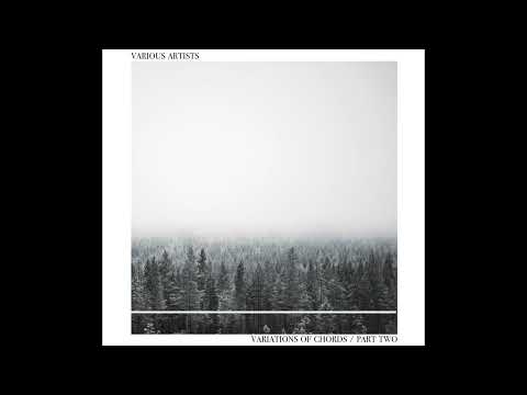 Belugani - Polar