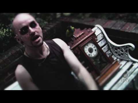 Cactua | The Film Lounge