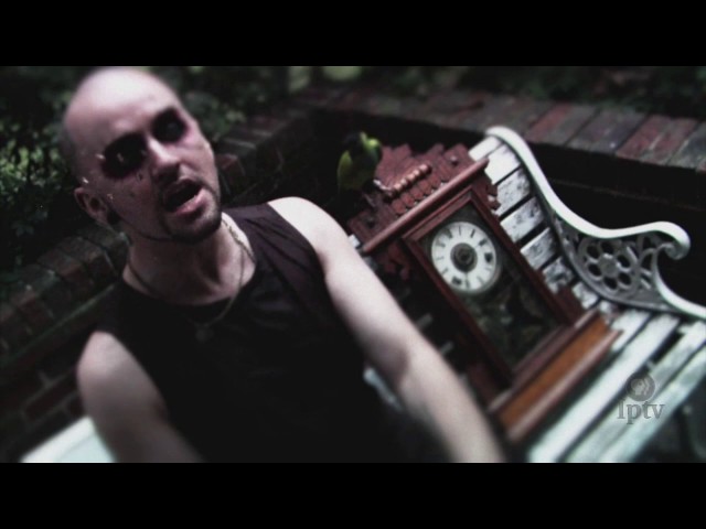 Cactua | The Film Lounge