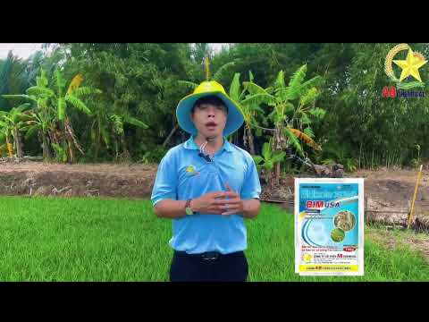 💥💥💥BỘ ĐÔI GIẢI PHÁP BIDIZOLE (BIM USA) + AB_SẠCH KHUẨN - ĐẶC TRỊ ĐẠO ÔN – VI KHUẨN GÂY HẠI TRÊN LÚA!!!