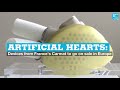 Artificial hearts: Devices from France's Carmat to go on sale in Europe