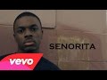 Vince Staples Ft. Snoh Aalegra - Senorita [Audio ...