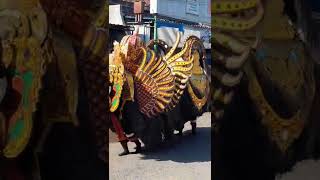 Download lagu Barong Kumbo Wongso Kenongo mp3