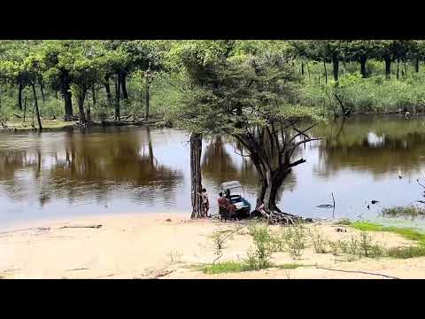 São Sebastião do Uatumã/Am.                     Fazenda encontro das águas, nosso refúgio ❤️