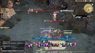 [FF14]寝付けないからタンクするお