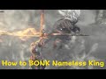 DARK SOULS III How to BONK Nameless King