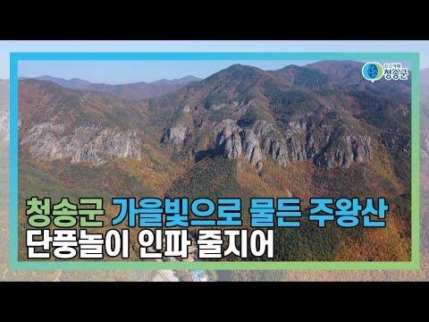 [뉴스와이드 청송] 청송뉴스 11월 3주차