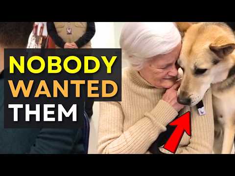 We Let Shelter Dogs Pick Their Families And THIS Happened 💔 Adoption Day