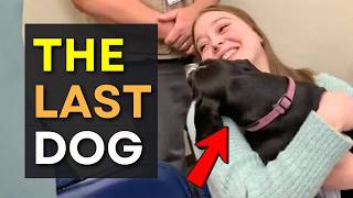 We Let Dogs Pick Their Families on Adoption Day And THIS Happened 😢