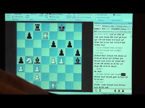 A 6.5. GM Petr HÁBA   -  IM Valery  SHALIMOV 1 - 0