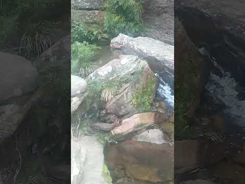 cachoeira véu da noiva Carrancas MG #paisagemnatural#
