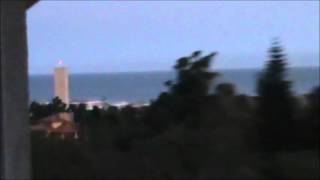 10 Ft. Ganja Plant, Blood Money,  Bass Chalice