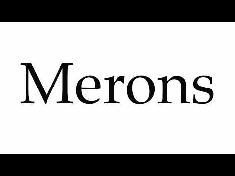 How to Pronounce Merons