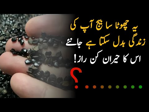 chasku seeds benefits | Chasku Seeds Hidden Health Benefits and Easy Home Remedies