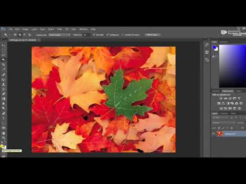 How to use color replacement tool in Photoshop