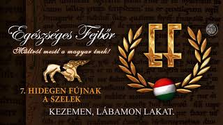 Music video thumbnail preview for Egészséges Fejbőr - Hidegen fújnak a szelek (Hivatalos szöveges video / Official lyric video) by Book of Sand