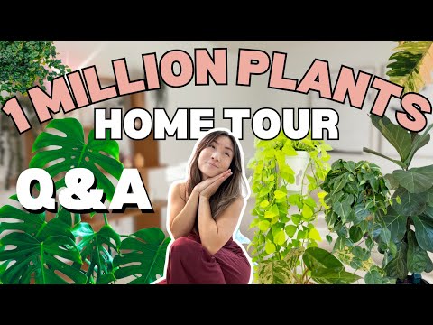 My ENTIRE 1 Million Plant Collection Home Tour | Houseplant Care Routine + Tips | Plant Chores