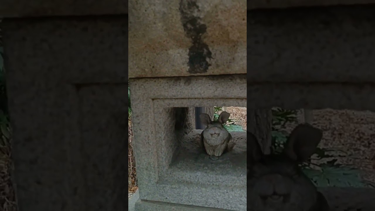 YouTube Short thumbnail