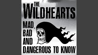 Stormy in the North - Karma in the South