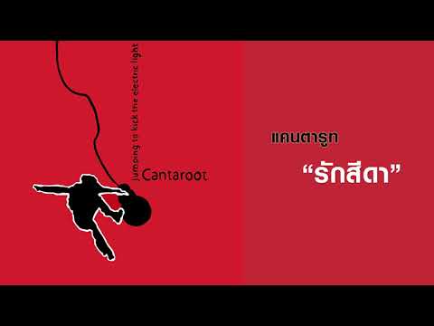 CANTAROOT (แคนตารูท) : รักสีดา  (Remaster official Audio)