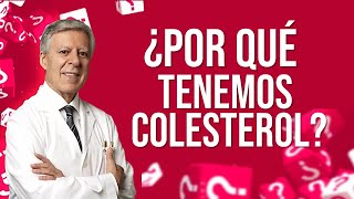 ¿POR QUÉ TENEMOS COLESTEROL?