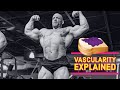 The Jelly Sandwich of Vascularity