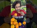 Lutt Putt Gaya Dunki Dunkidrop2 Shahrukh Srk Arijitsingh Lovesong