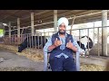 दूध का रेट क्या होना चाहिए । How to make dairy business profitable । Youtube dairy profit and loss।