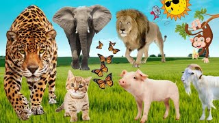 Interesting Sounds of Familiar Animals | Elephant, Cow, Cat, Dog, Horse, Owl, Rooster, Monkey...