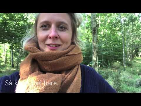 Fri teltning (klimavenlig ferie)