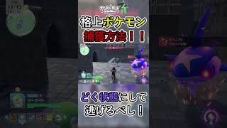 格上ポケモンを安全に捕獲・討伐する方法！！#ポケモン #ポケモンza #pokemonlegendsza