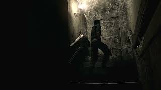 ボスラッシュ来たかもしれん【BIOHAZARD】