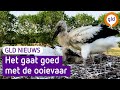 GLD Nieuws 19 juni 2023