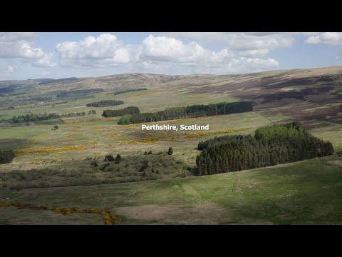 The most silent Rubber-Tired Gantry Crane (RTG) in the world - Highland Spring