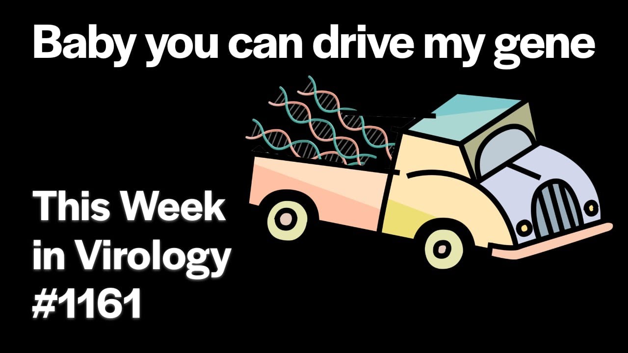 TWiV 1161: Baby you can drive my gene