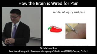How the Brain is Wired for Pain - Dr Michael Lee