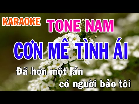 Cơn Mê Tình Ái Karaoke Tone Nam Nhạc Sống - Phối Mới Dễ Hát - Nhật Nguyễn