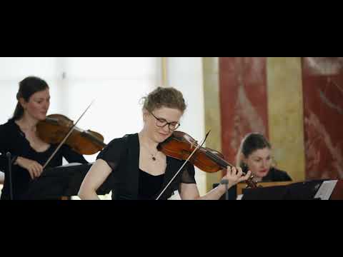 Johann Pfeiffer - Concerto in F for Violino piccolo (Nadja Zwiener)
