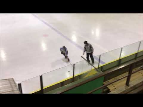 HC Hvezda Praha vs Team Hockey Performance