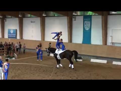 Pferd International 2014 - Gilching I