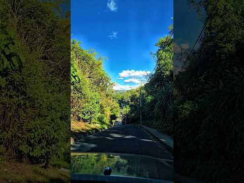 Recorriendo la ruta alterna | Perulapía a San Pedro Perulapán #naturaleza #elsalvador #ytshorts