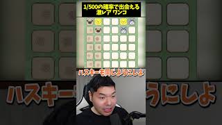 伝説ワンコに遭遇してしまたｗｗｗ😮#ワンこねくと