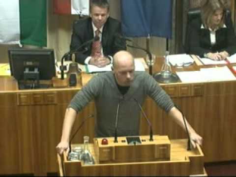 Bundesrat 02 02 2012 - Dringliche Anfrage der FPÖ zum WKR-Ball