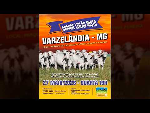 Leilão de Gado - Grande Leilão Misto Varzelândia MG