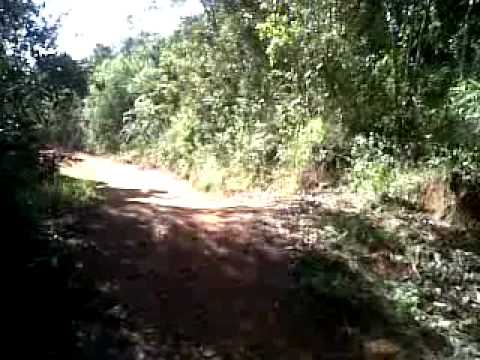 Douglas crf 230 x Marcelo yz 250