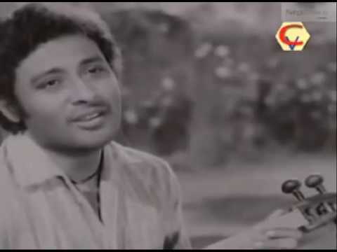 Tumi shotodol hoye futle sorobore : Fuleshwari