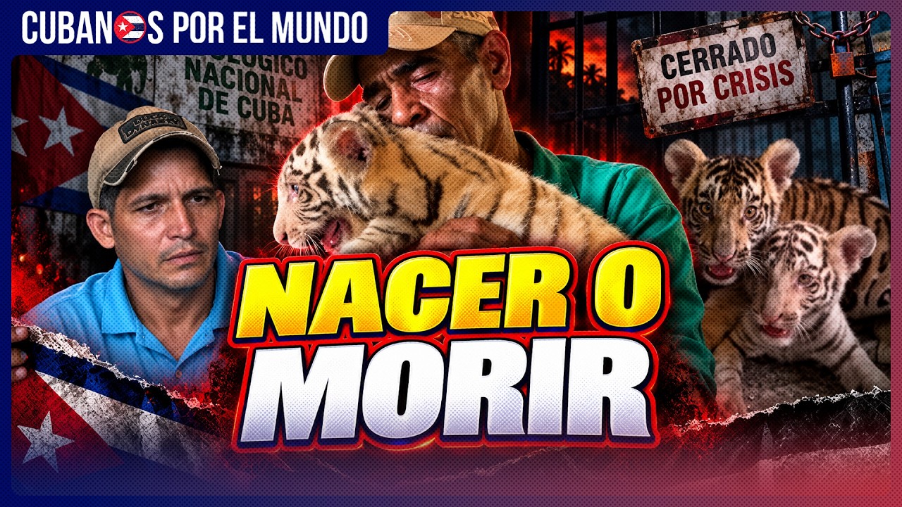 Zoológico Nacional de Cuba cierra por falta de agua y luz