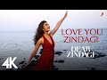 Love You Zindagi 4K Video Dear Zindagi Alia Bhatt Shah Rukh Khan Jasleen Royal Amit T