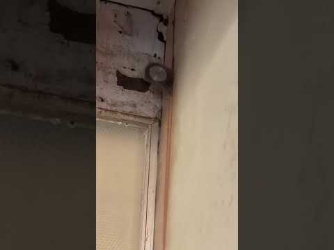 Concrete Cutter