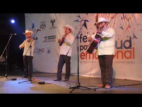 Flor Menudita (Xochipitzahuatl) | Trío Guardianes de la Huasteca